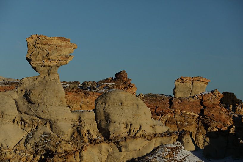 De-na-zin wilderness area- petrified wood, Bisti badlands,  New Mexico  USA von Frank Fichtmüller