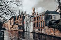 Brugs stadsgezicht vanaf de Meebrug met Middeleeuwse gevels en Belforttoren van Daan Duvillier | Dsquared Photography thumbnail