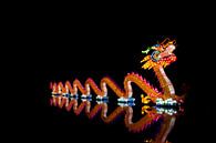 China light festival Rotterdam: de Draak van noeky1980 photography thumbnail