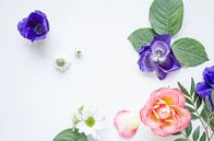 Komposition mit Anemonen und Rose von Nicole Schyns Miniaturansicht