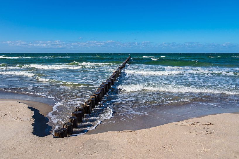 Buhne aan de Oostzeekust in Zingst op de Fischland-Darß. van Rico Ködder