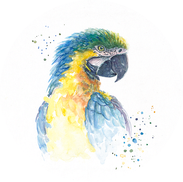 Papagaai in aquarel van Atelier DT