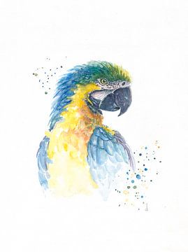 Papagaai in aquarel van Atelier DT