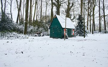 Tiny house in the snow van Marjolein van Wikselaar