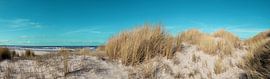 Dünen auf dem Vliehors auf Vlieland von Haikey Vlieland Fotografie