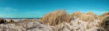 Les dunes du Vliehors à Vlieland