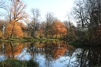mirror image in autumn colors
