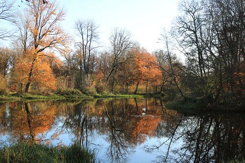 Spiegelbild in Herbstfarben