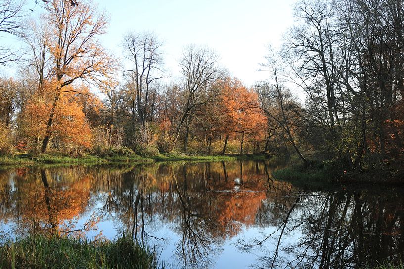 mirror image in autumn colors by Henk Mannes