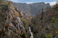 Das Bodetal zwischen Thale und Treseburg von t.ART Miniaturansicht
