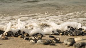 Am Sandstrand der Ostseeküste