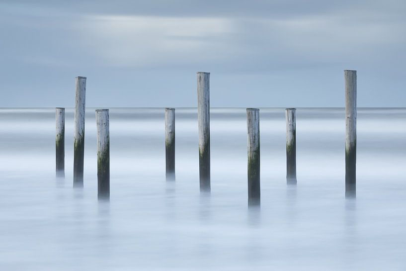 Petten van Ingrid Van Damme fotografie