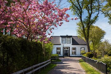 Village scene Nes, Ameland