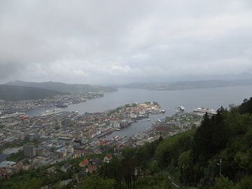 Panoramisch overzicht over Bergen, Noorwegen