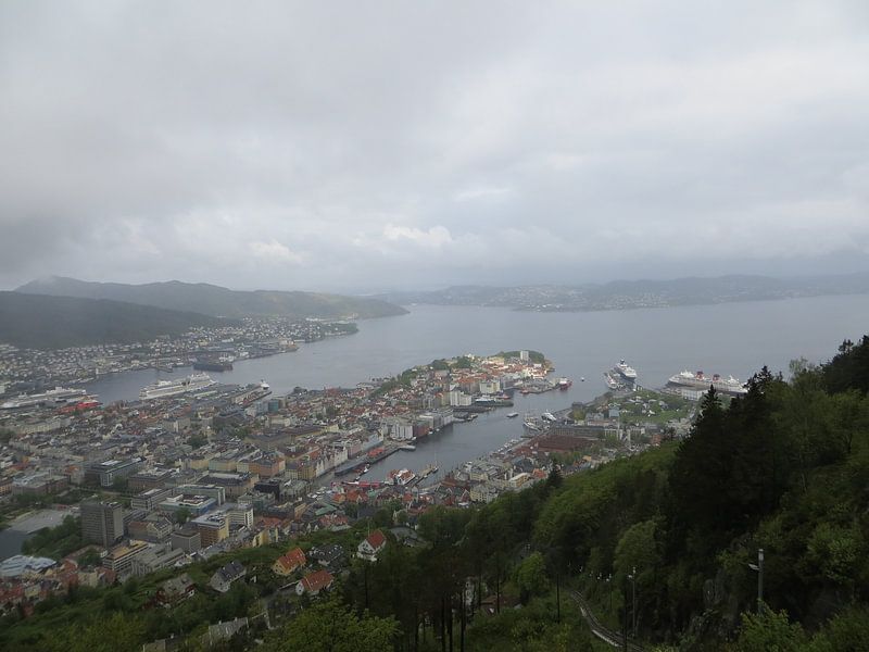 Panoramisch overzicht over Bergen, Noorwegen van Elly Meijer - Willemsen
