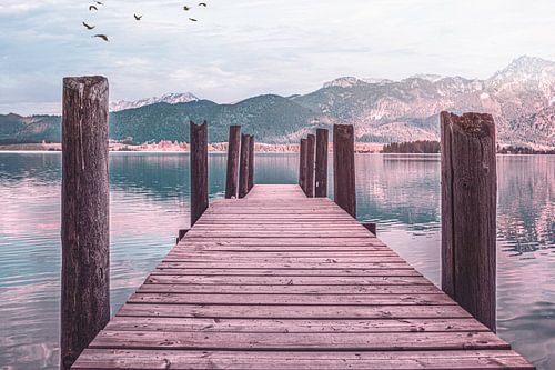 Houten voetgangersbrug