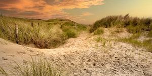 Sonnenuntergang in den Dünen.