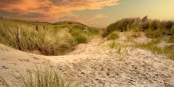 Coucher de soleil dans les dunes. sur Alie Ekkelenkamp