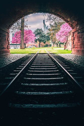 Rails in de richting van Frankfurt am Main