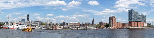 Harbor panorama Hamburg