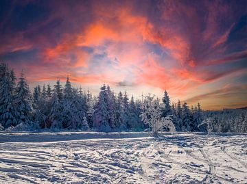 Fantastischer Wintertag im Erzgebirge mit Schnee und Sonnenuntergang von Animaflora PicsStock