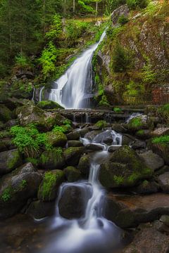 Triberg waterval van Steve Mestdagh