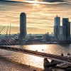 Skyline von Rotterdam in der Früh (Landschaft) von Rob van der Teen