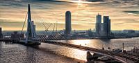 Rotterdam Skyline in the morning (Landscape) van Rob van der Teen thumbnail