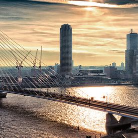 Skyline von Rotterdam in der Früh (Landschaft) von Rob van der Teen