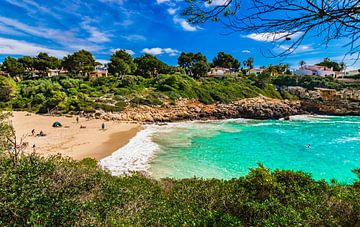 Prachtig eilandlandschap, baai strand van Cala Anguila, Mallorca van Alex Winter