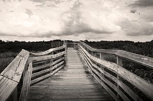 Path from the beach sur juvani photo