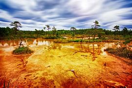 Wild moorland by Marlika Art