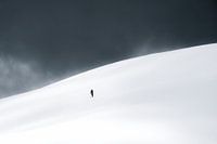 The lone alpinist