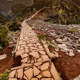 Pico do Arierio van Dirk Rüter