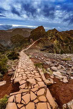 Pico do Arierio van Dirk Rüter