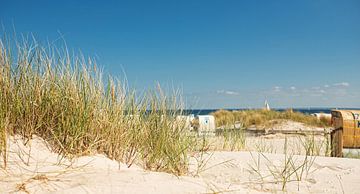 Beach overlooking the Baltic Sea van Dirk Thoms