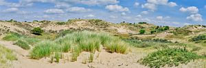 dune landscape Dutch coast by eric van der eijk