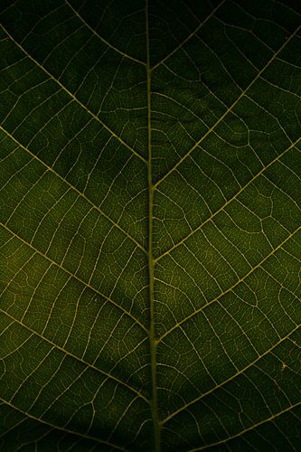 Blatt mit goldenen Adern