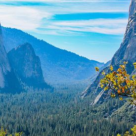 Uitzicht op Yosemite Valley van Barbara Riedel