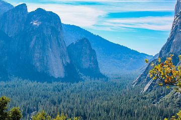 Uitzicht op Yosemite Valley van Barbara Riedel