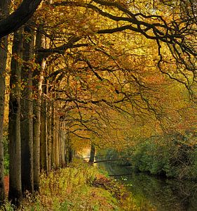 Autumn Bridge von M DH