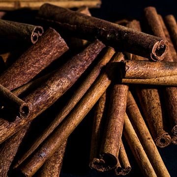 Cinnamon by Scholtes Fotografie