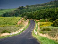 Further down the road