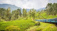 Sri Lanka Blue Train by Leon van der Velden thumbnail