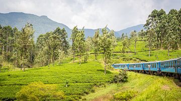 Sri Lanka Blue Train von Leon van der Velden