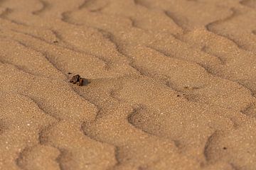 gewellter Sand von Merijn Loch