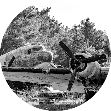 Twee oude in verval geraakte Douglas C-47 Skytrains. van Jaap van den Berg