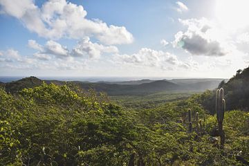 Christoffel National Park Curacao by Manon Verijdt