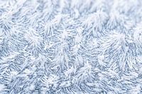 De magie van de vorst, abstracte winterse rijp van dichtbij