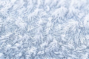 De magie van de vorst, abstracte winterse rijp van dichtbij van Christiaan Poot